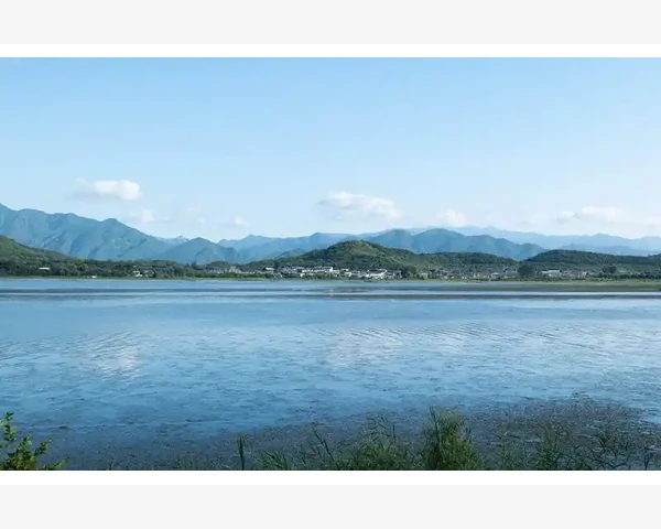 B2B连接器打通企业交易新脉络